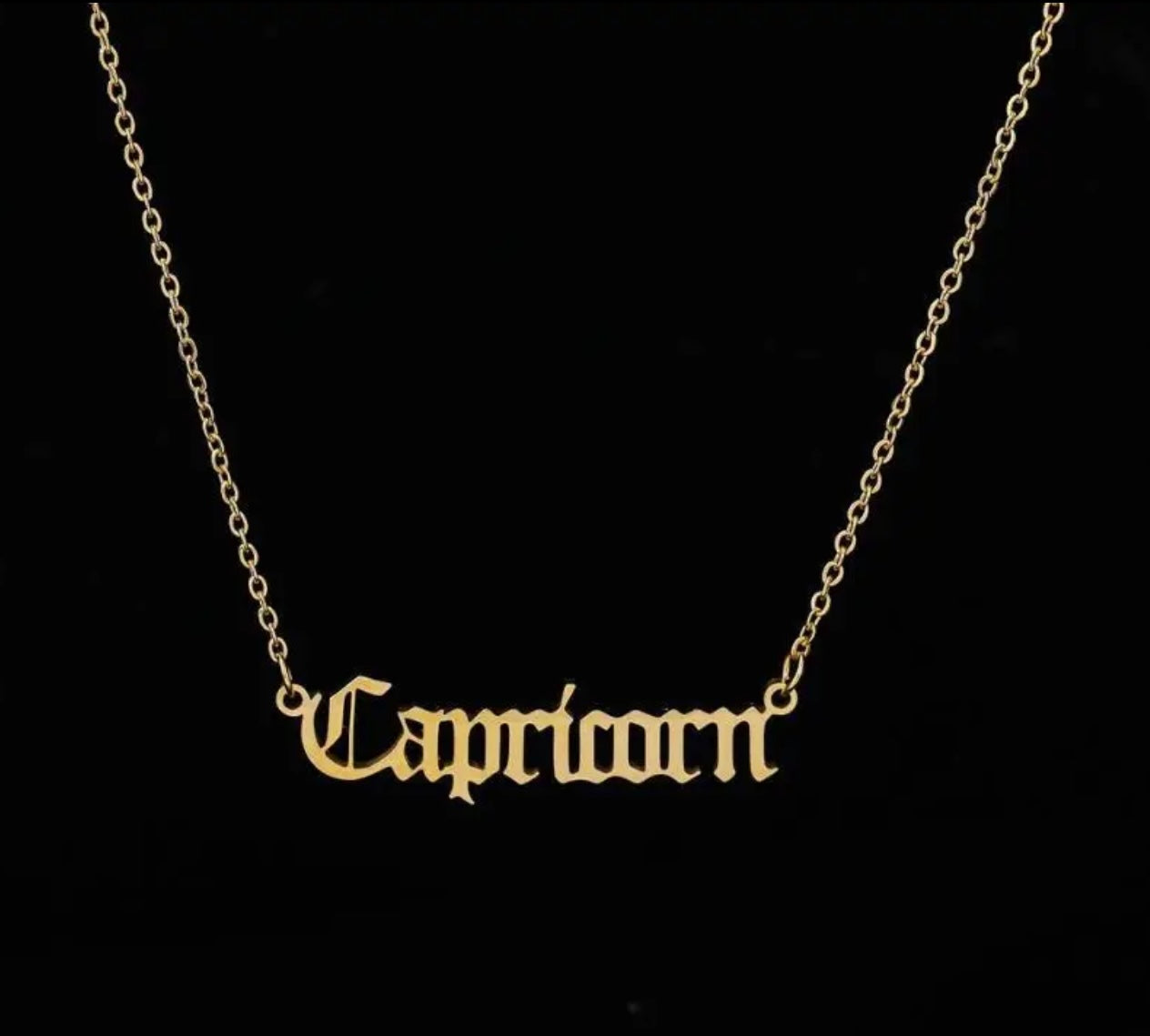 Capricorn zodiac necklace